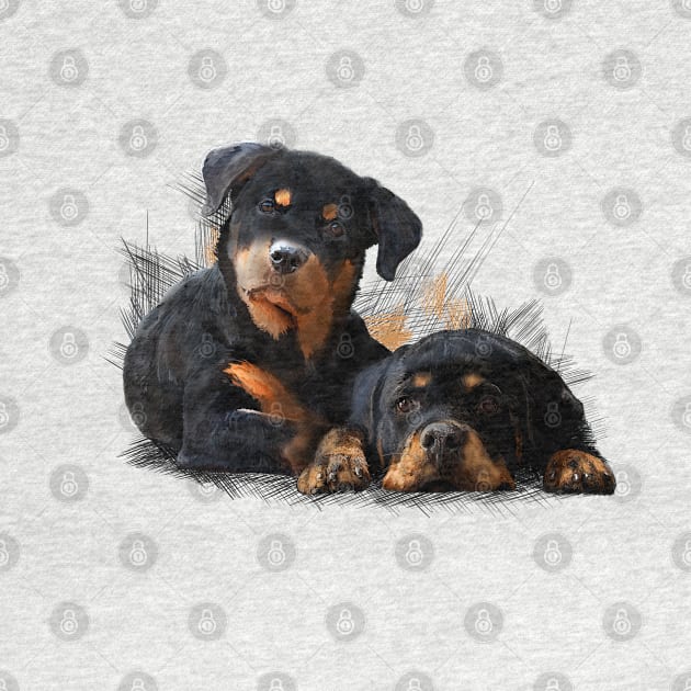 Rottweiler Welpen by sibosssr